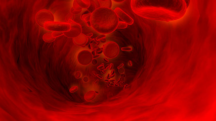 red blood cell