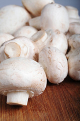 Fototapeta na wymiar raw mushroom