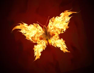 Cercles muraux Flamme Papillon volant aux ailes de feu