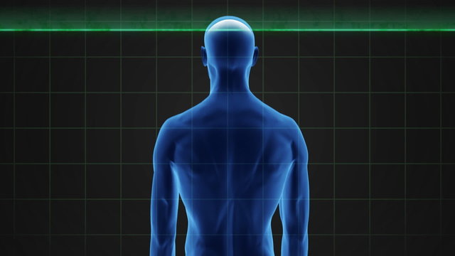 medical scanner with a male figure and visible skeleton.