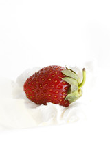 strawberry in cream