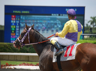 Horse and Jockey