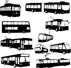 urban transportation - vector © Bojanovic78