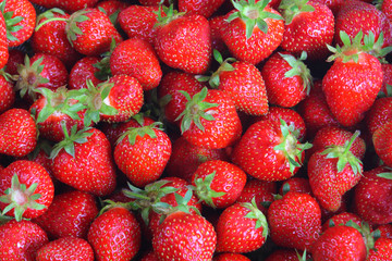Fresh strawberries