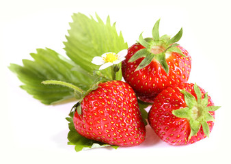 Fresh strawberries