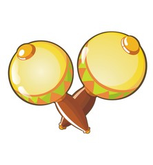 a pair of maracas
