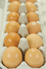 Free range eggs isolated against a white background