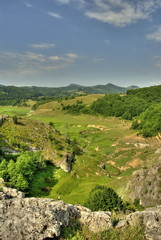 High view of a lush green valley