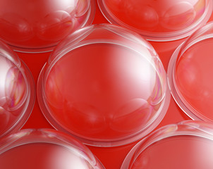 Acrylic plastic medical domes on red background