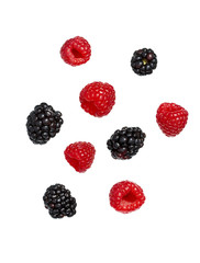 raspberries and blackberries