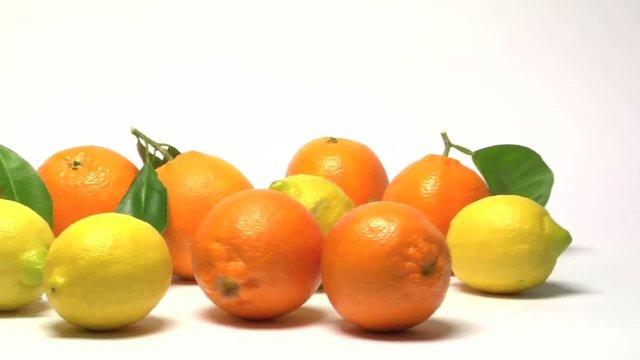 agrumi, zoom e carrellata