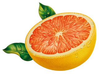 Grapefruithälfte