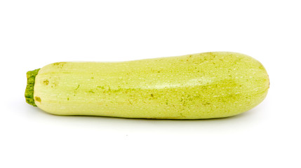 Doggery isolated on a white background