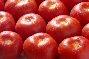 Tomatoes