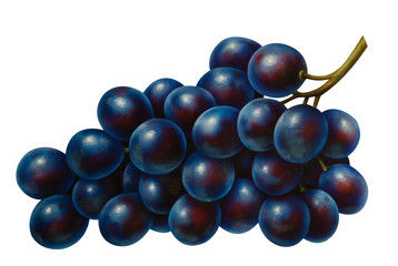 Weintrauben