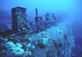 AnnAnn Wreck