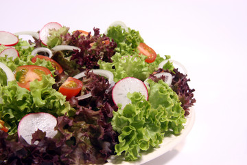 Bunter Salatteller