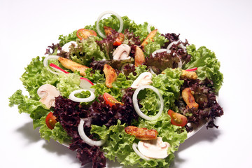 Gemischter Salat mit Putenbruststreifen