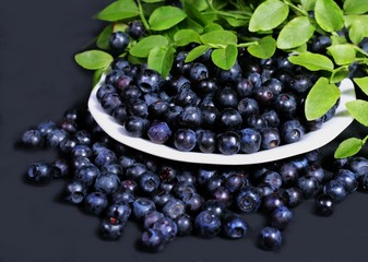 blueberry
