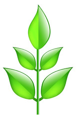 Glossy Aqua Green Plant  (Vector)