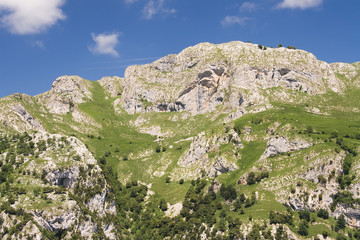 Fototapeta na wymiar Parque nacional de Picos de Europa