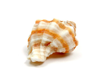 Caracola