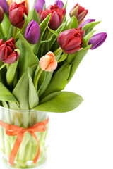 Obraz premium fresh tulips