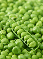 Green pea background