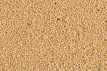 Mustard seeds background