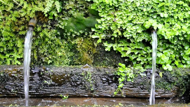 Frisches Quellwasser
