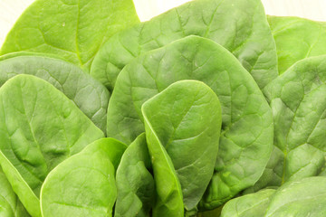 fresh organic spinach
