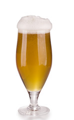 Alcohol light beer glass with froth isolated over white