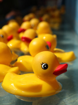 Rubber Duckies Floating in a Carnival Game