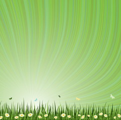 Fototapeta na wymiar Green Summer Vector background. Grass Collection.