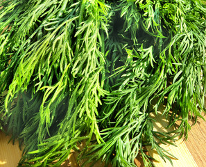 Dill with waterdrops on the wooden desk
