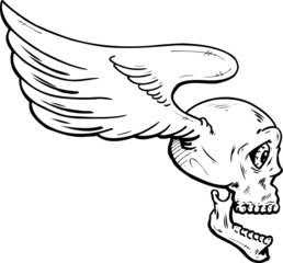 Flying skull with wings vector illustration