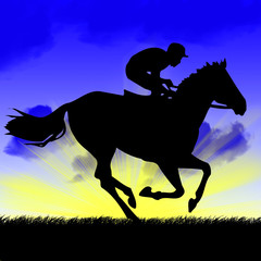 Rider and horse © Warren Millar