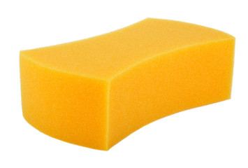 Yellow Sponge