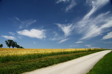 Obraz premium Landschaft