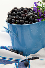 Fresh Wild Blueberries, Just Picked