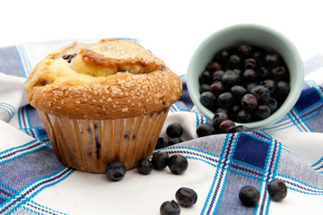 Freshly Baked Blueberry Muffin