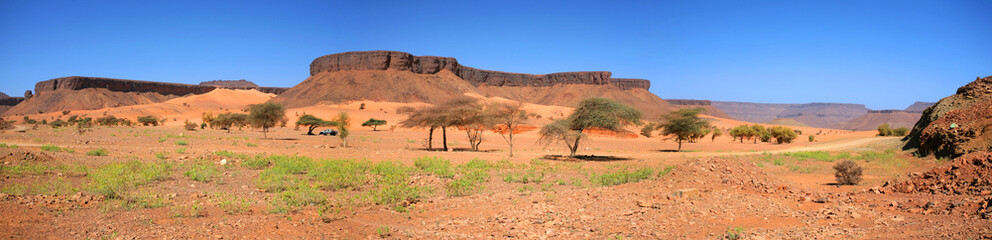 Panoramique africain - 15011177