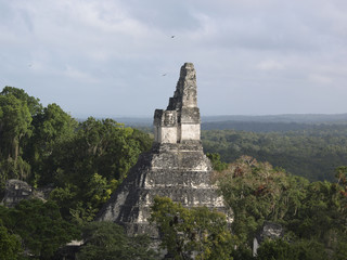 Ancient Mayan Temple at Tikal