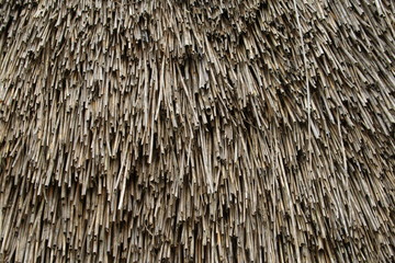 Texture de chaume