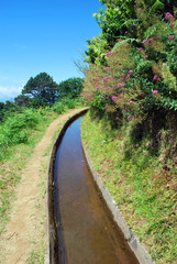 Une levada à Madère
