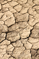 Trockene, rissige Erde