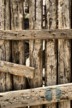 Wood Texture HDR