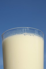 Glas frische Milch