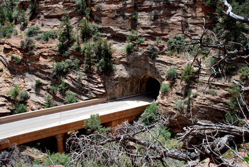 Zion Nationalpark II