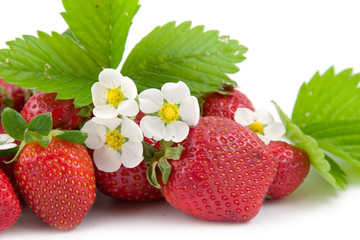 fresh and juicy strawberries